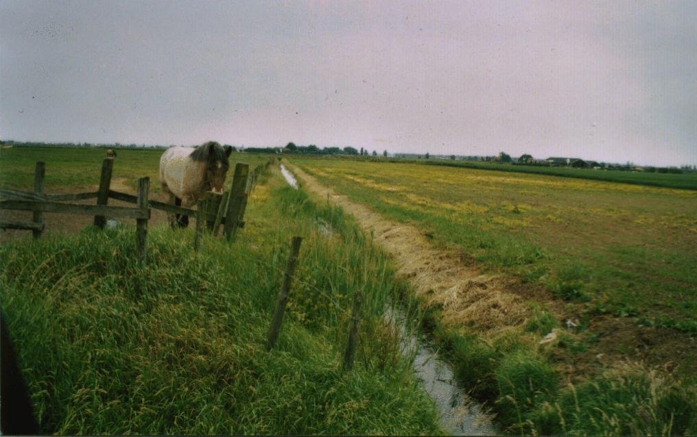 de exacte plaats waar ik Fishkick voor het laatst en Kluit voor het eerst zag