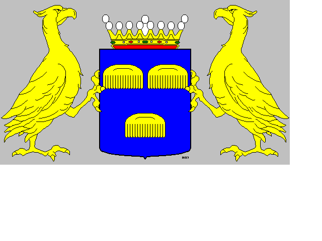 coat of arms Chaam